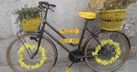 Museo delle Api di Montalto Pavese